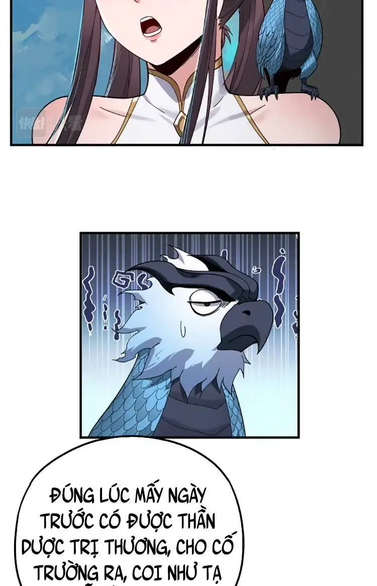 Chapter 73