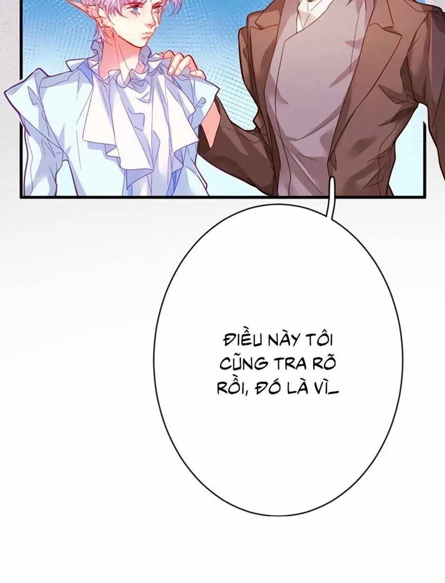Chapter 26