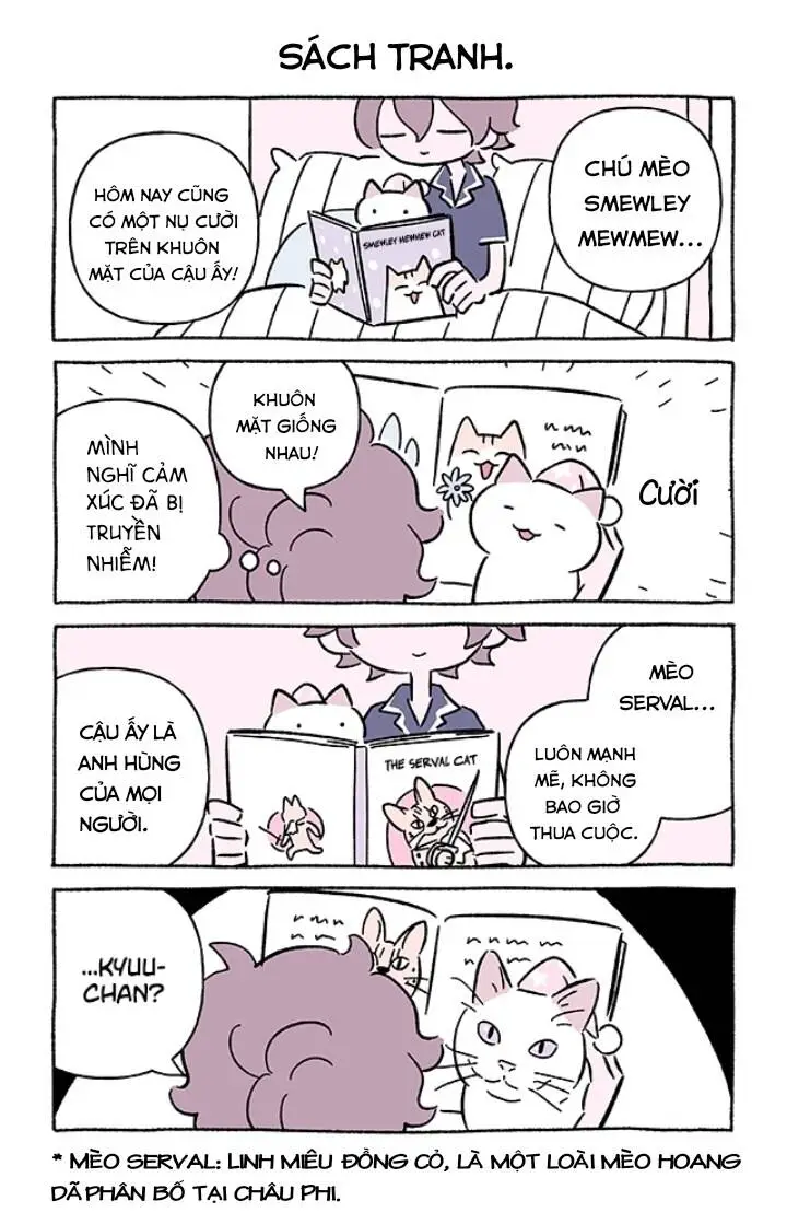 Chapter 706
