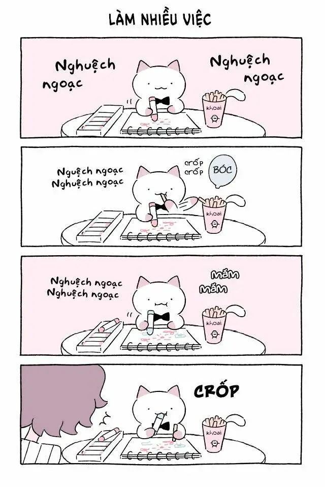 Chapter 561