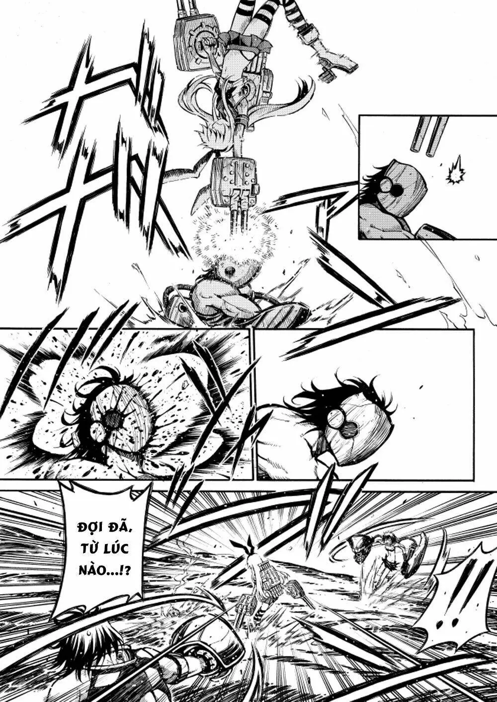 Chapter 23