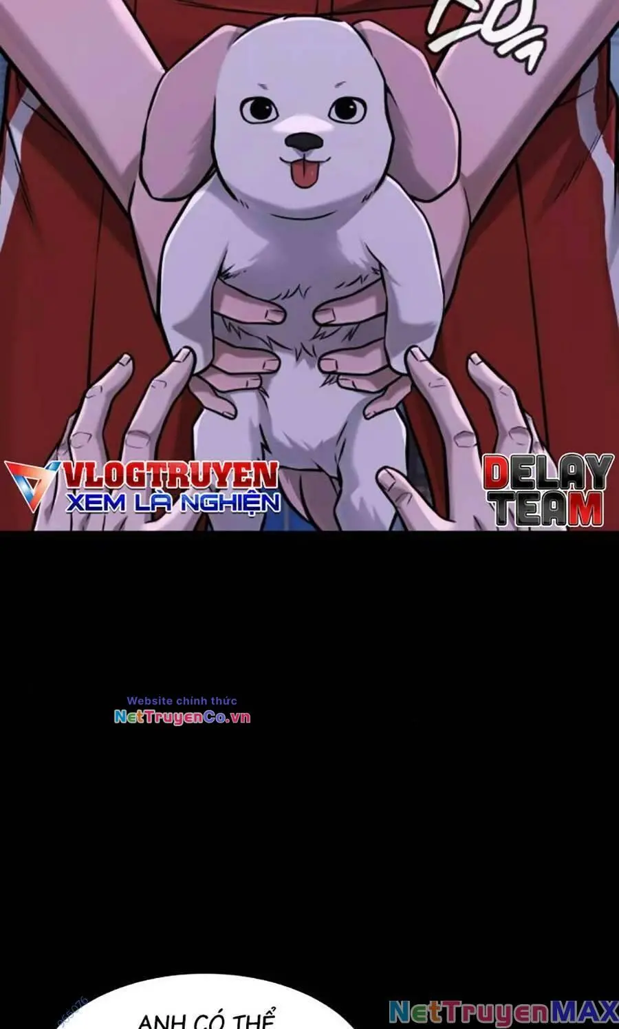Chapter 95