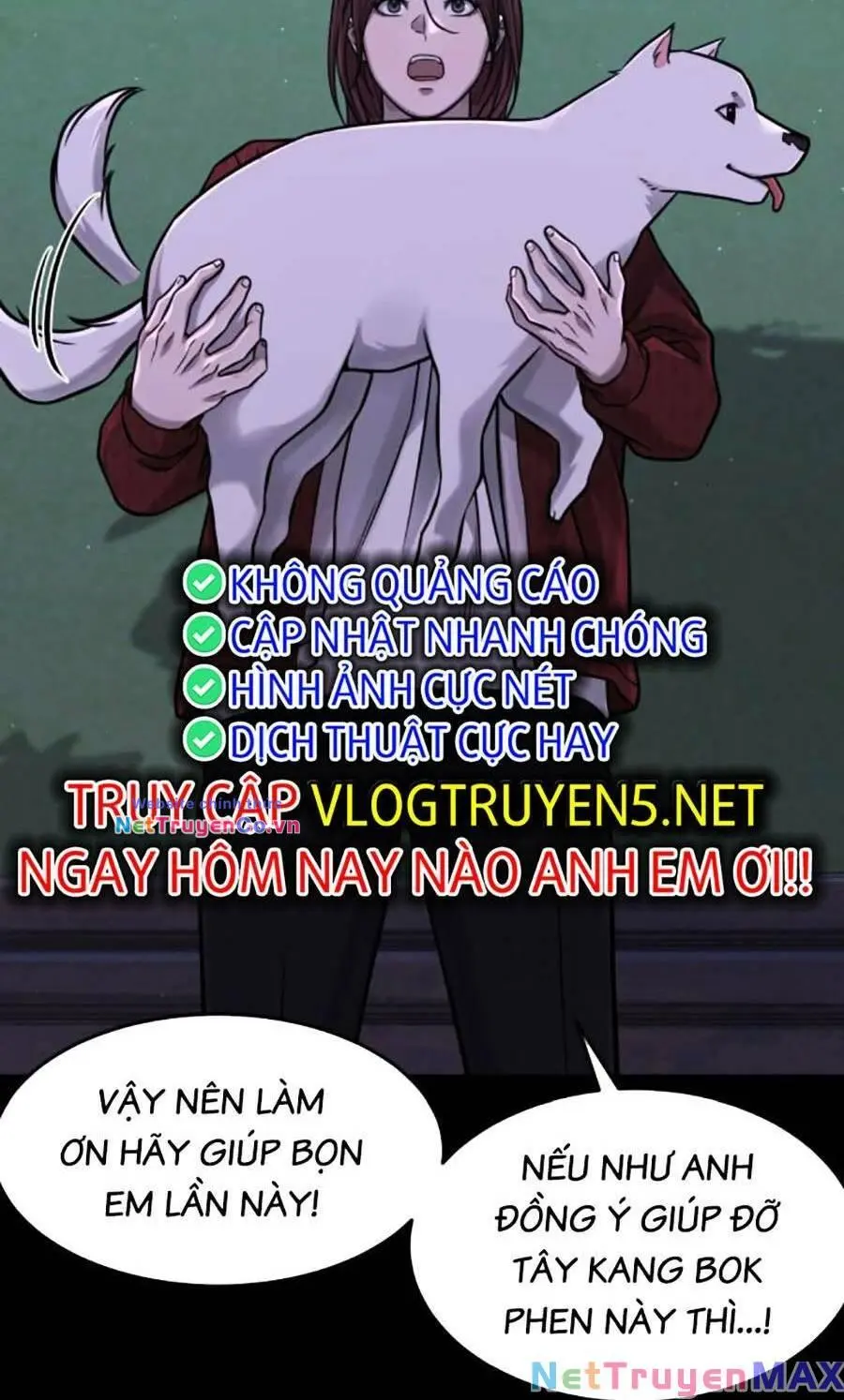 Chapter 95