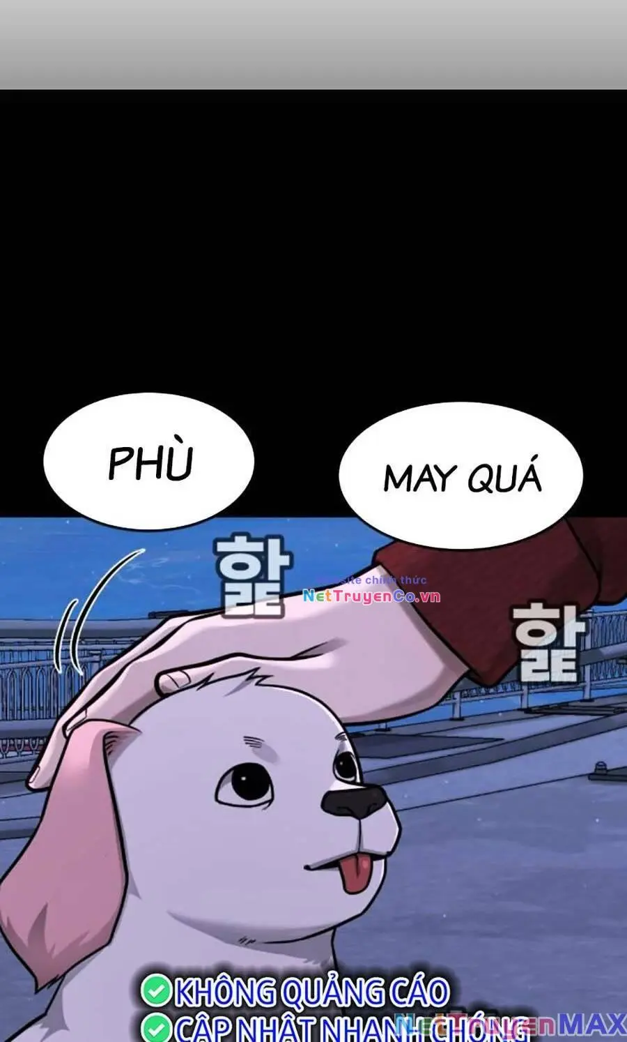Chapter 95