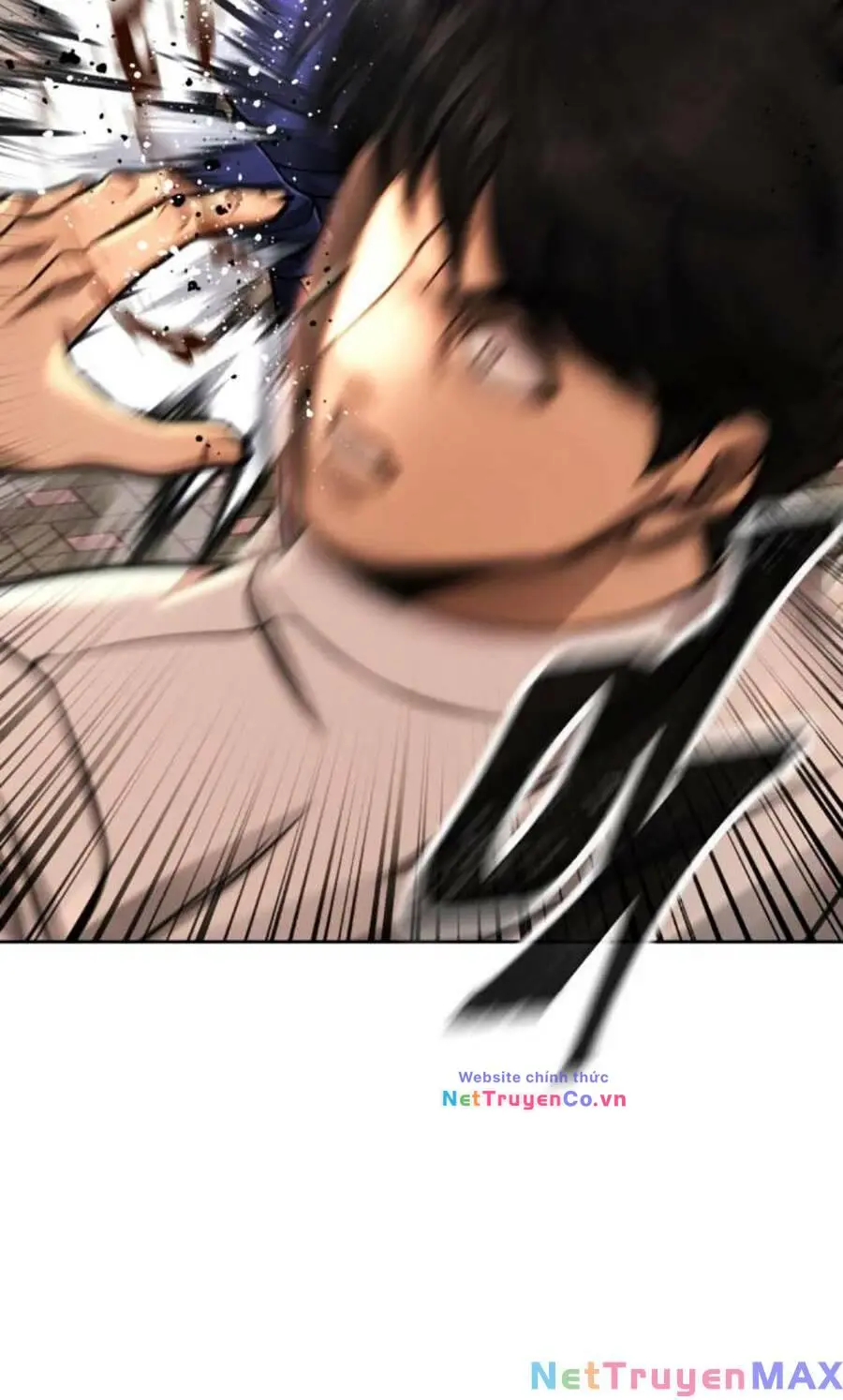 Chapter 95