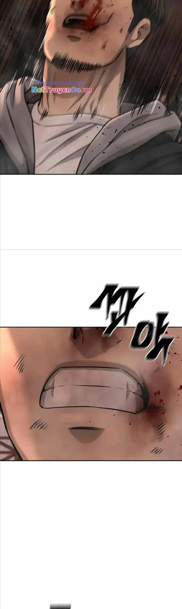 Chapter 84