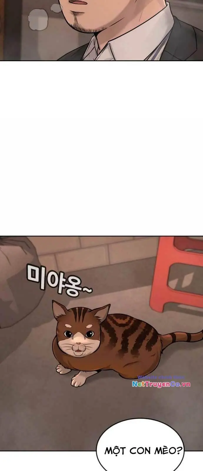 Chapter 46