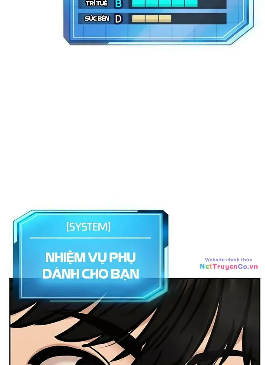 Chapter 19