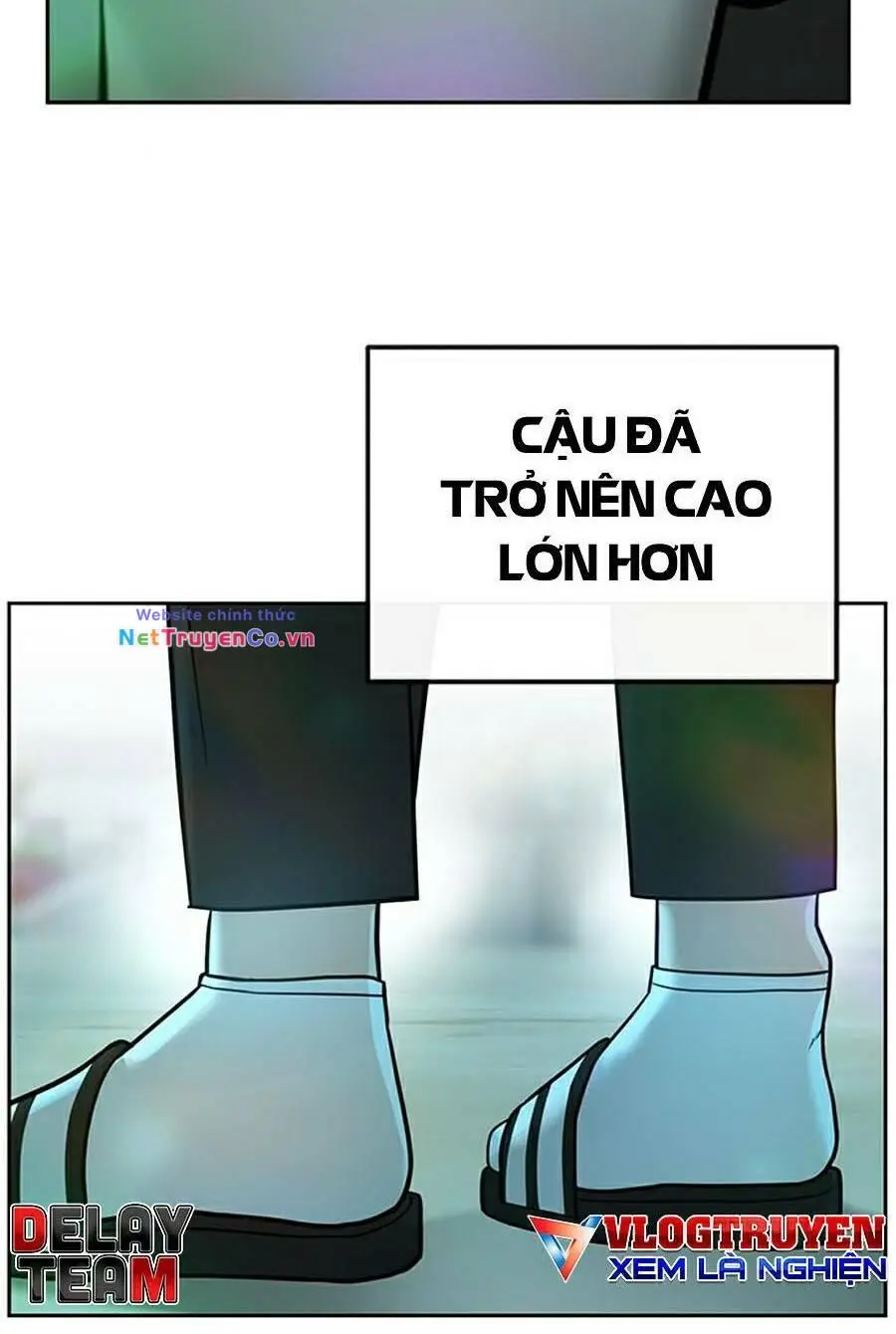 Chapter 19