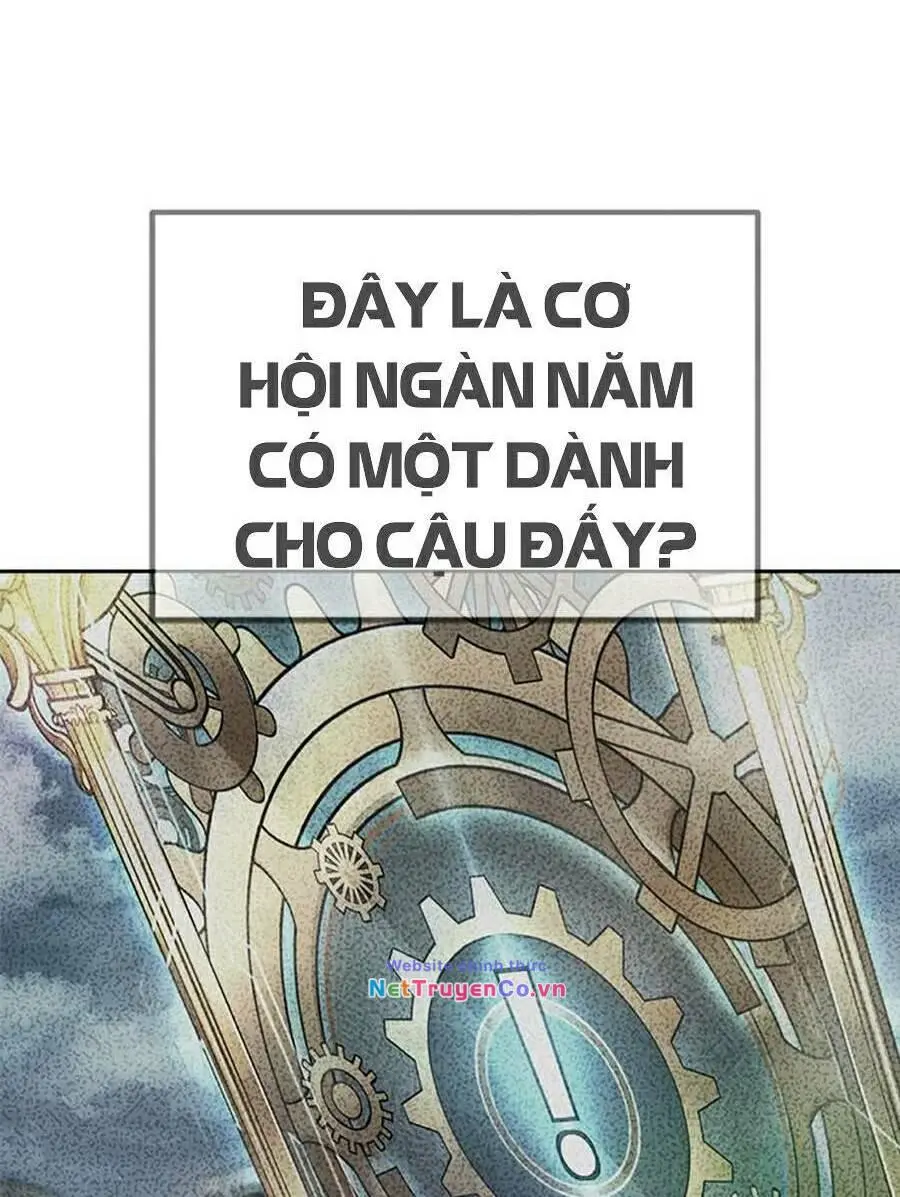 Chapter 19