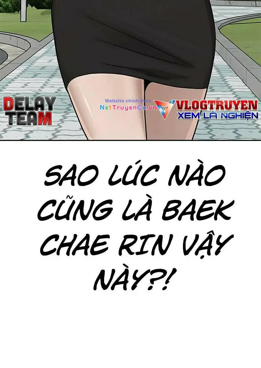 Chapter 19