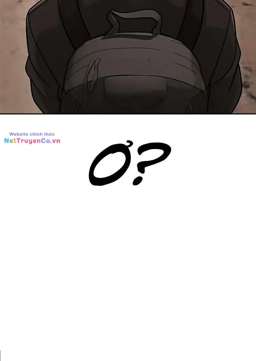 Chapter 19