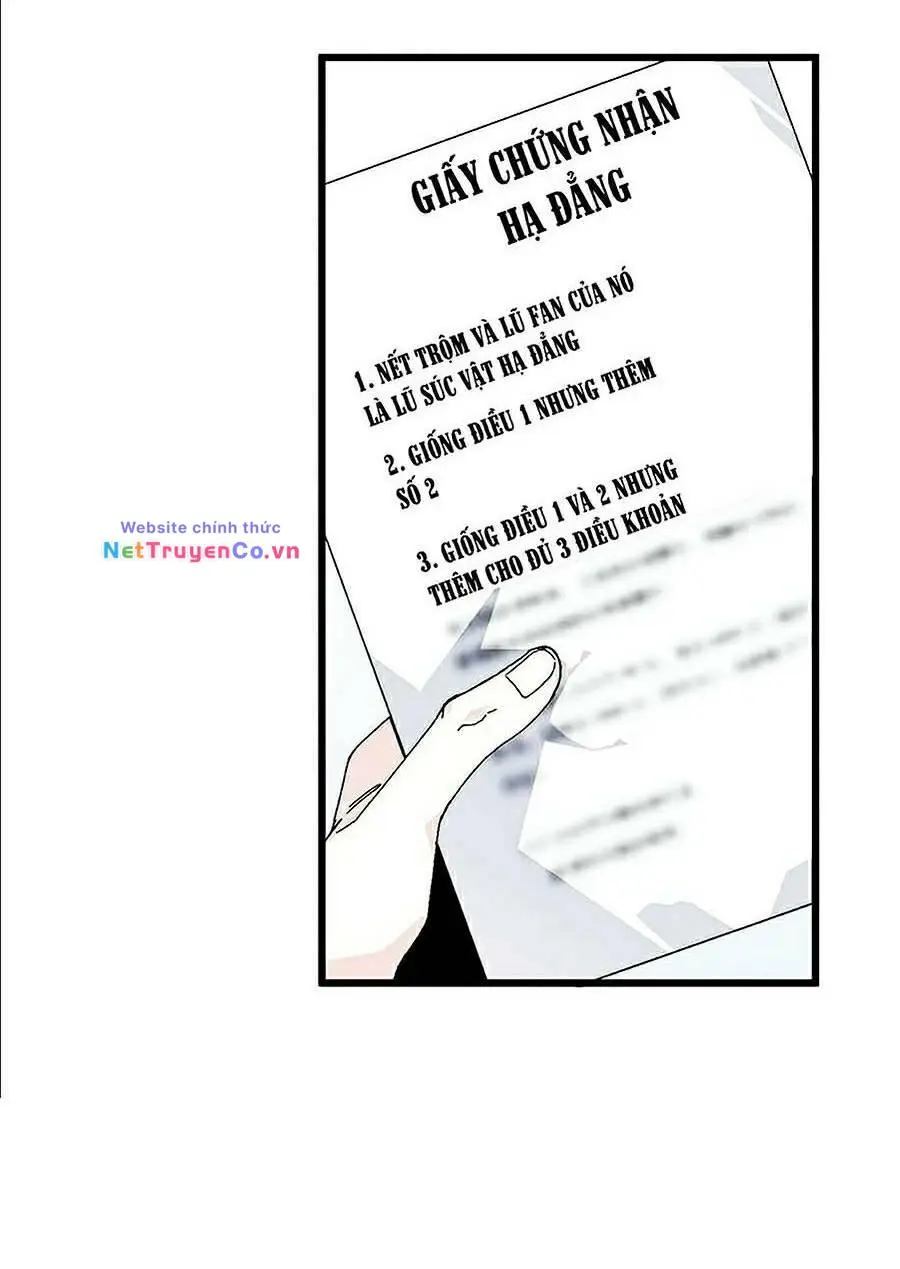 Chapter 19
