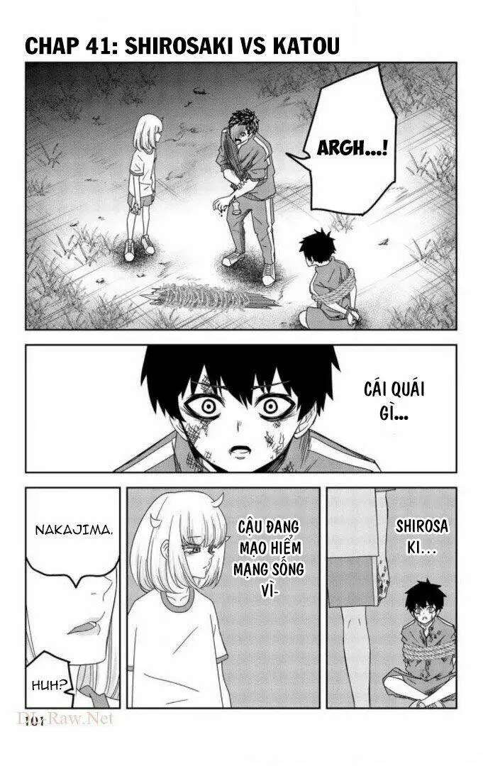 Chapter 41