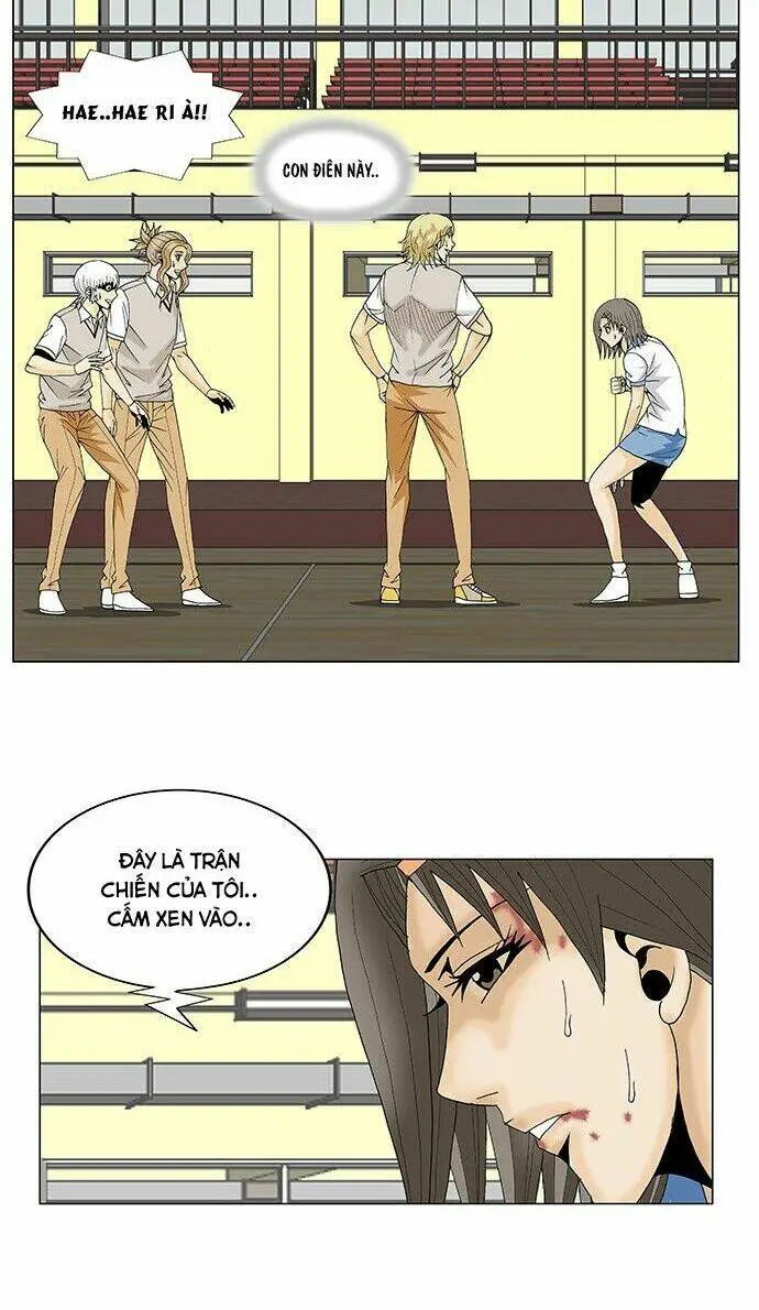 Chapter 104