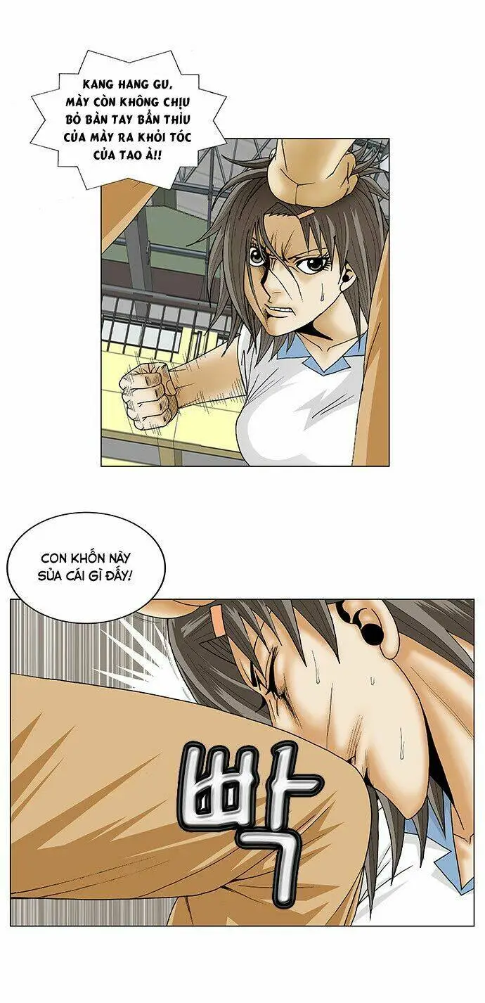 Chapter 104