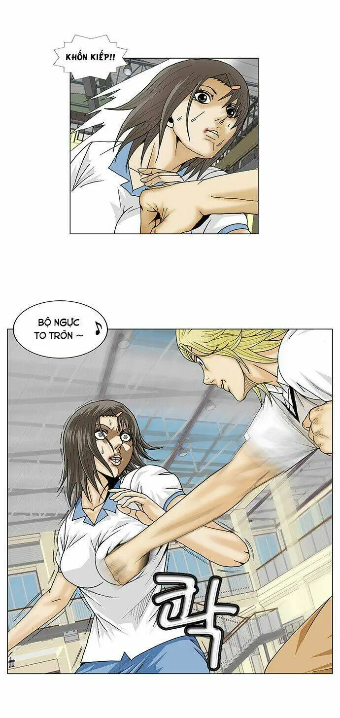 Chapter 104