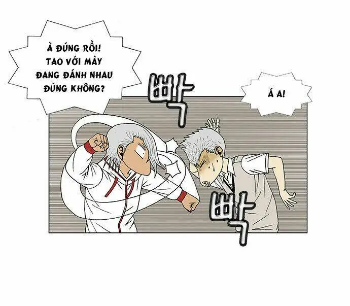 Chapter 95