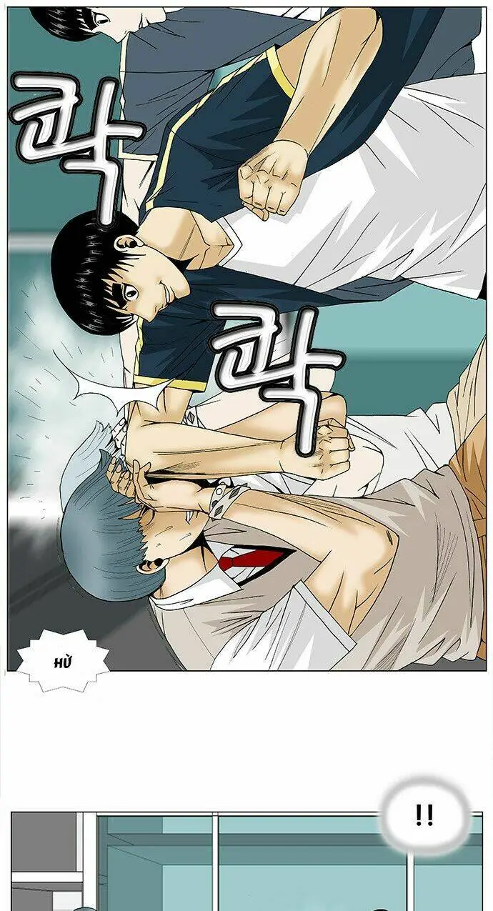 Chapter 95