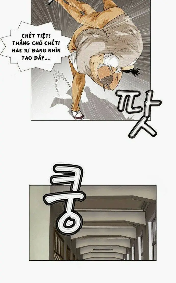 Chapter 55