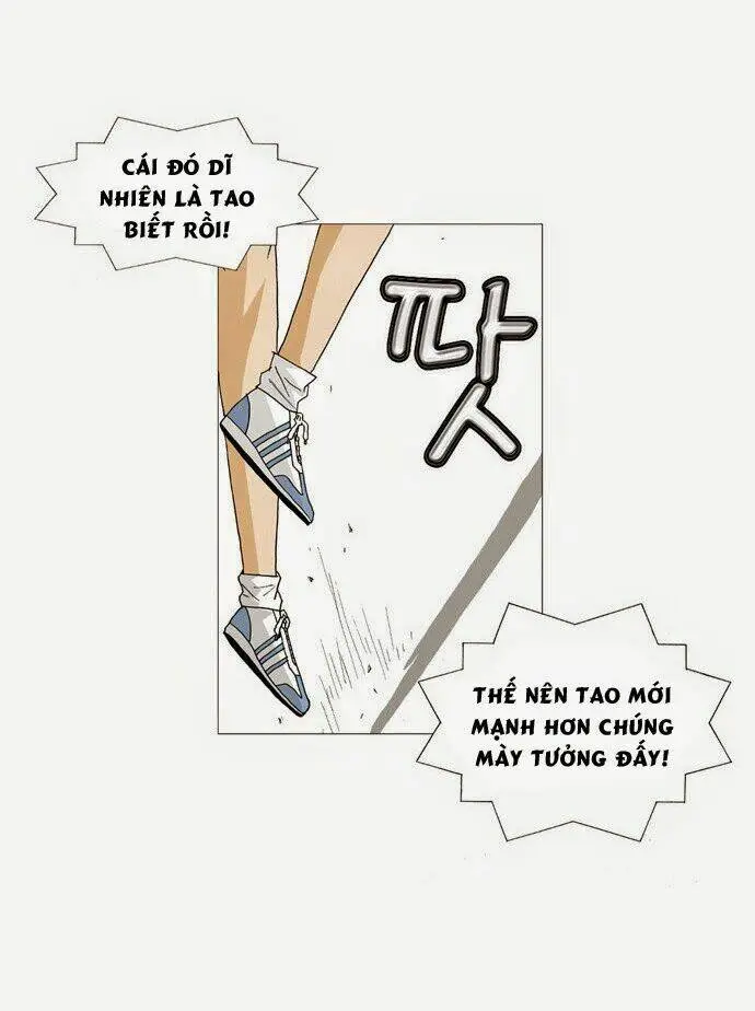 Chapter 55