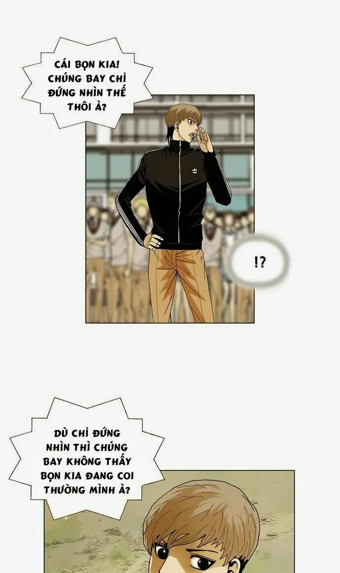 Chapter 33