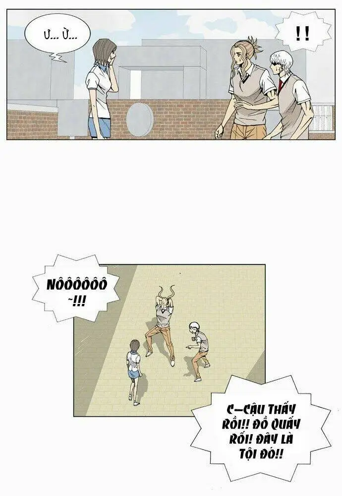 Chapter 13