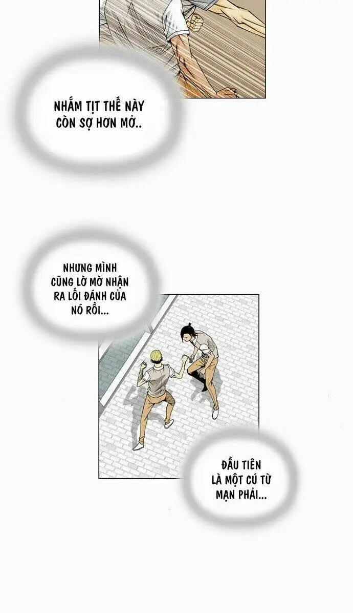 Chapter 13