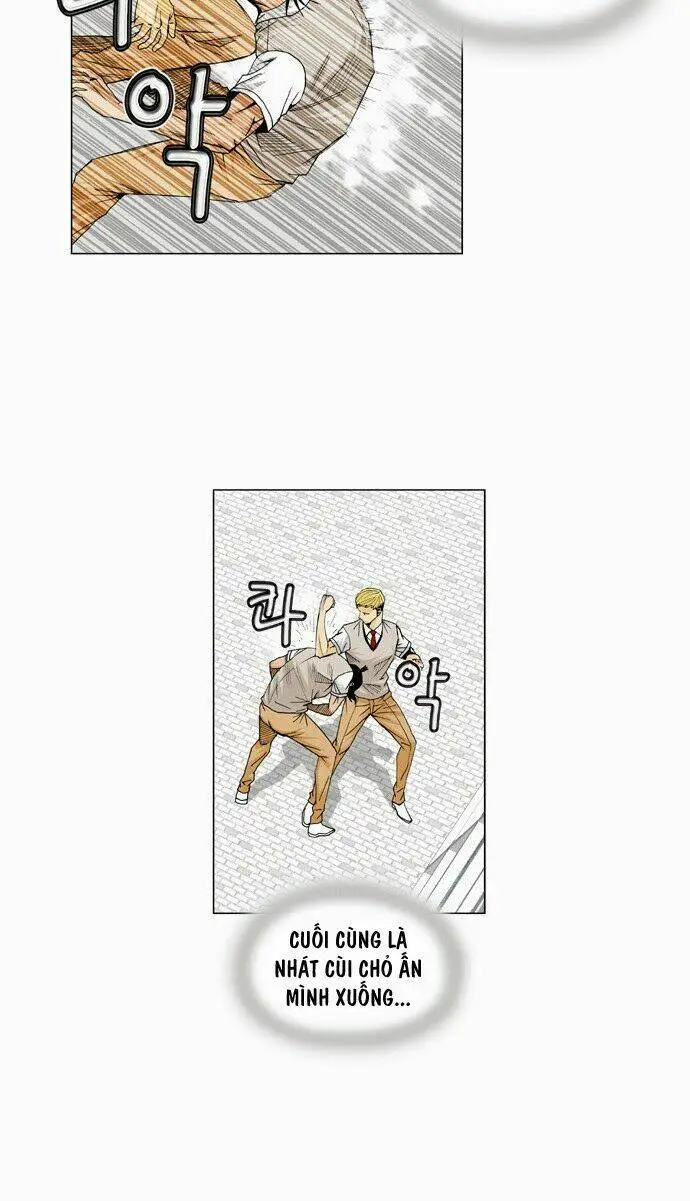 Chapter 13