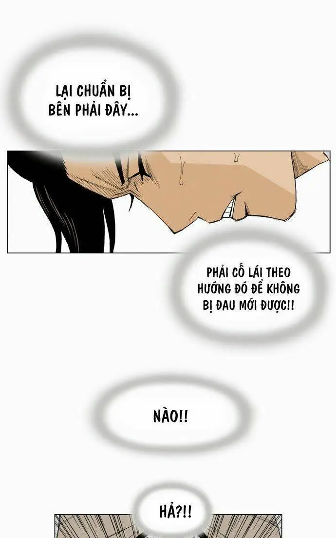 Chapter 13