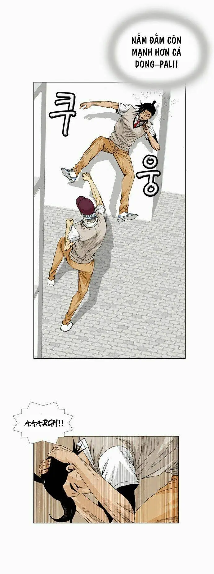 Chapter 13