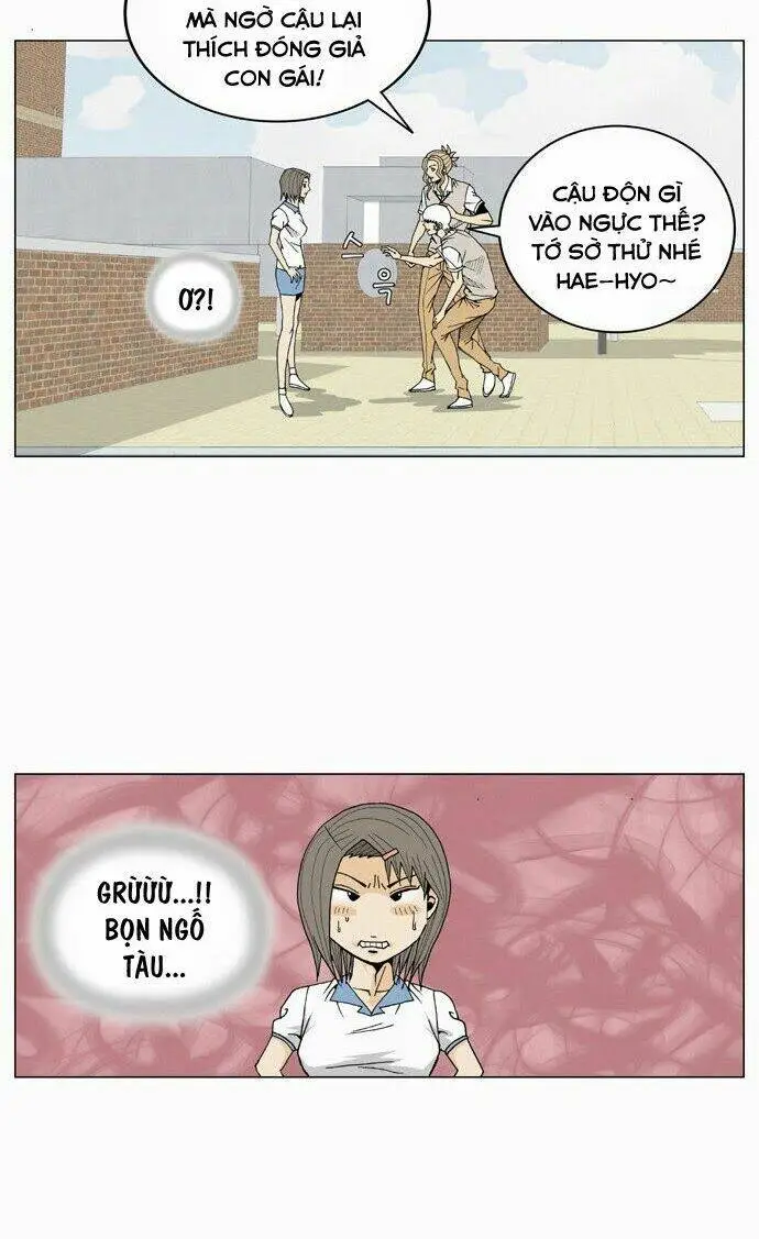Chapter 13