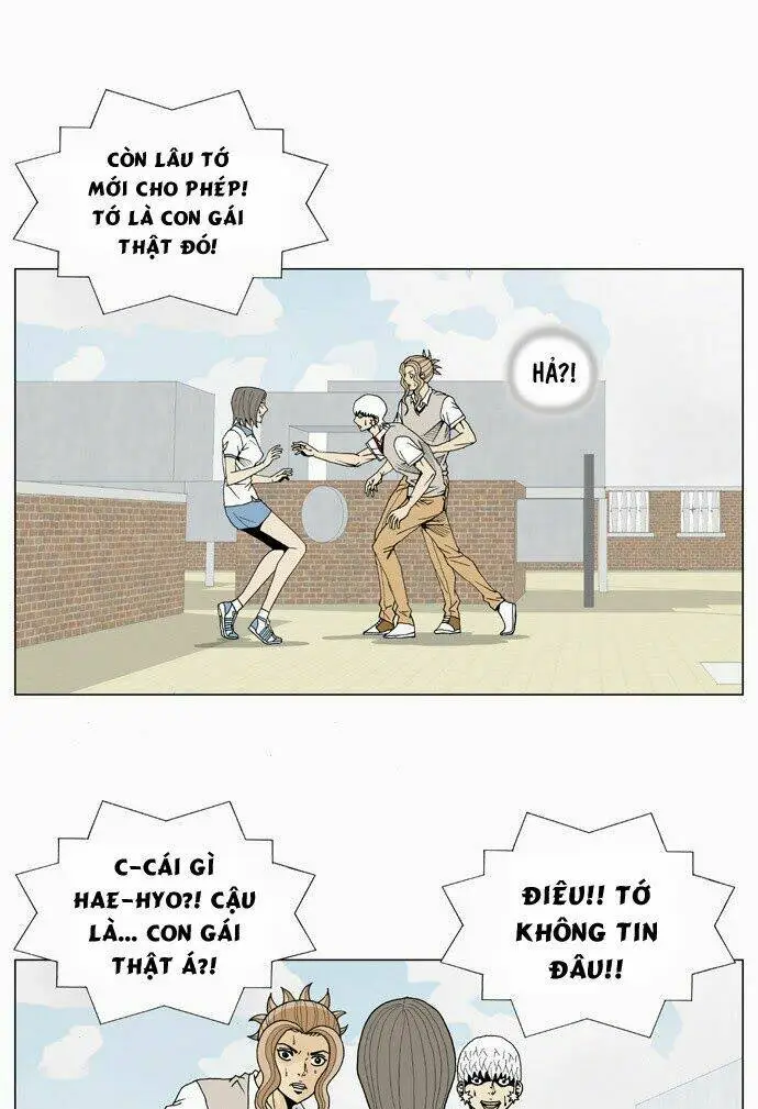 Chapter 13