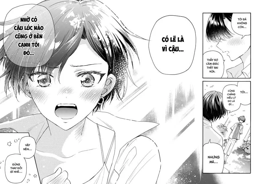 Chapter 101