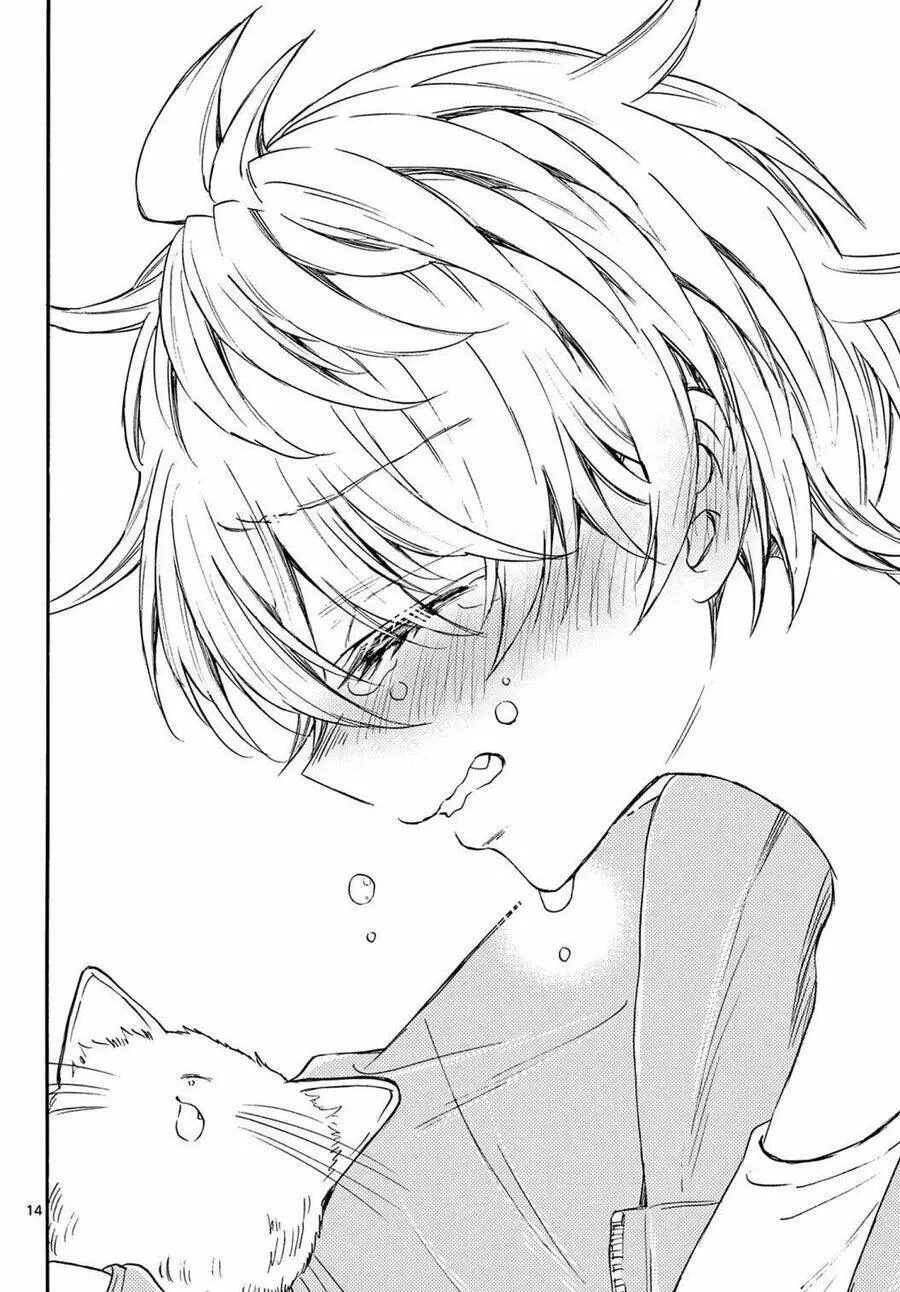 Chapter 41