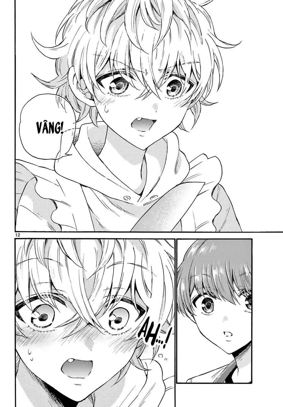 Chapter 28