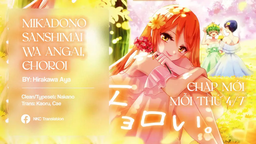 Chapter 17