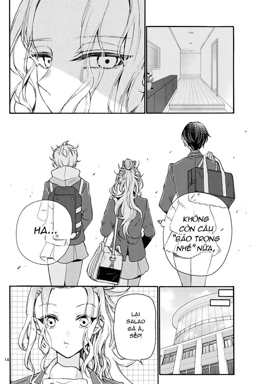 Chapter 15