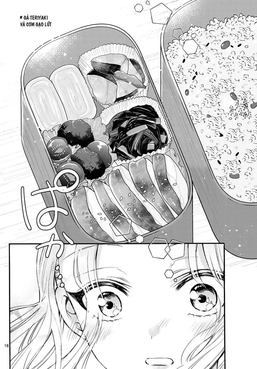 Chapter 15