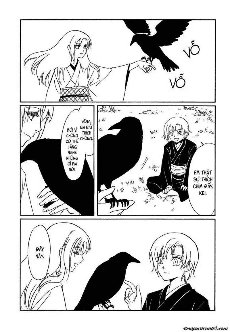 Chapter 13