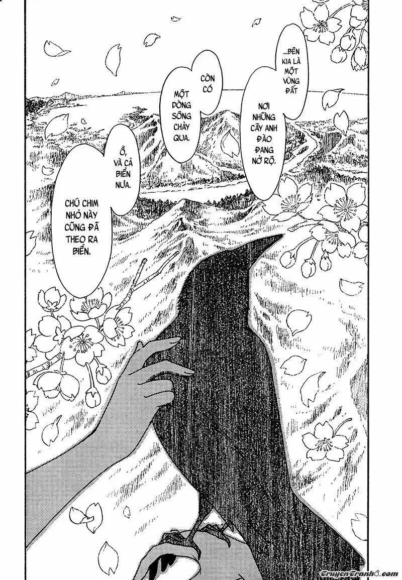Chapter 13
