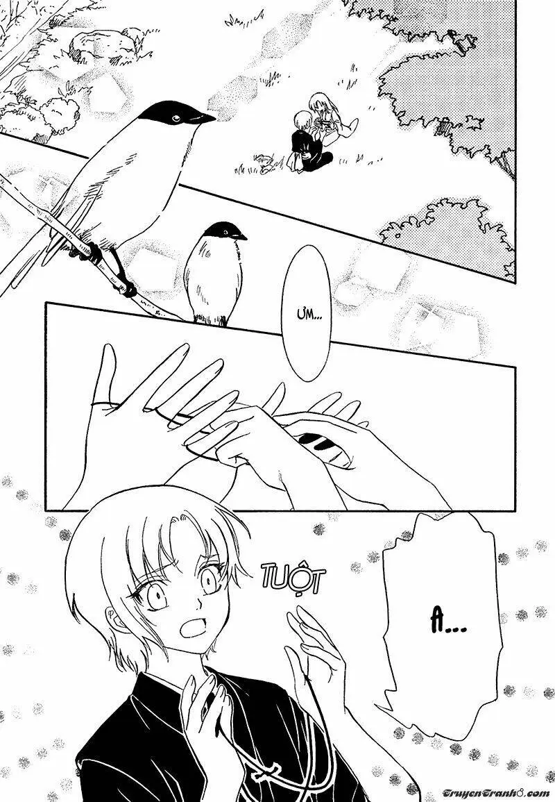 Chapter 13