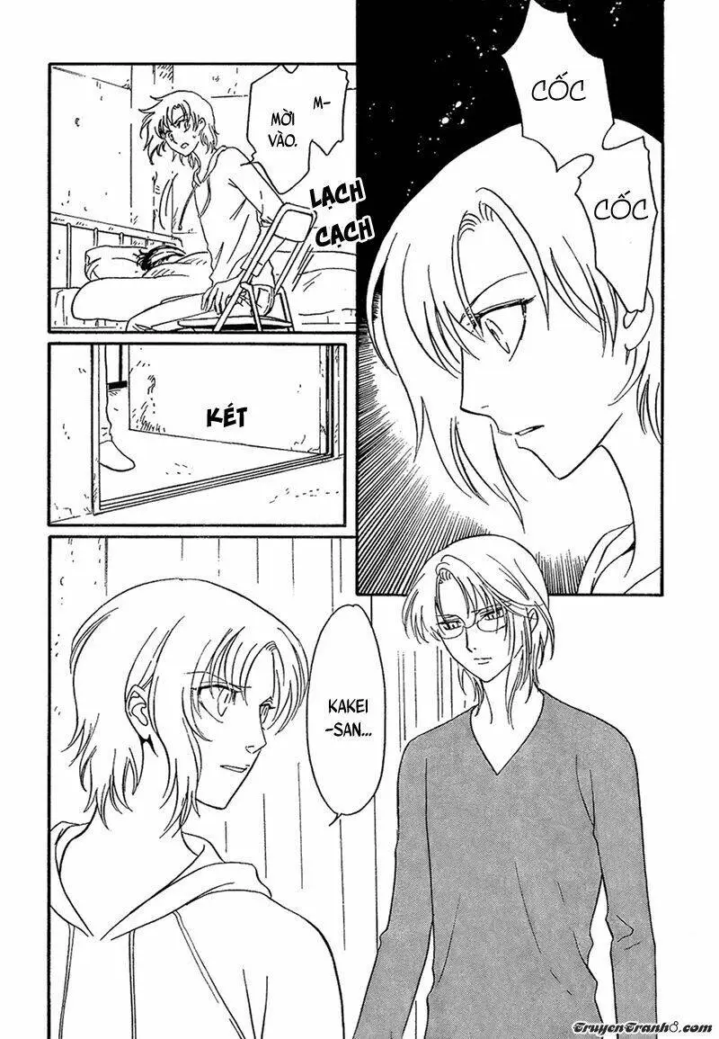 Chapter 13