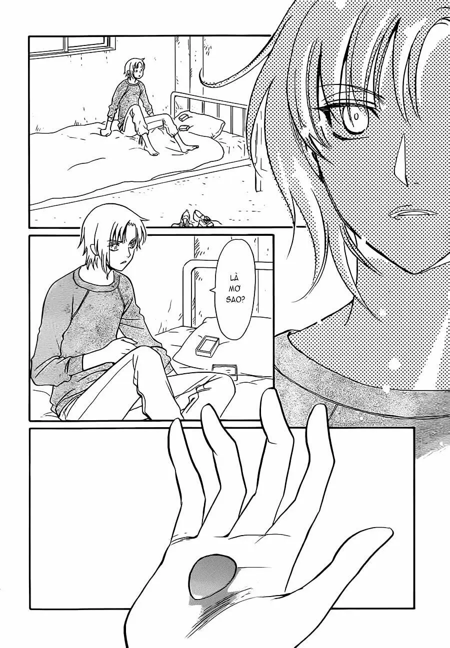 Chapter 8