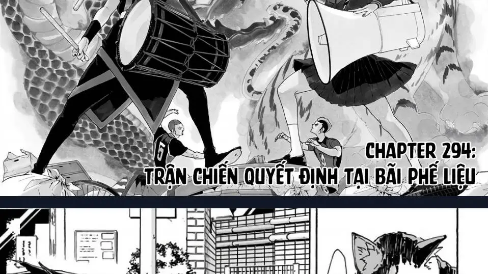 Chapter 294