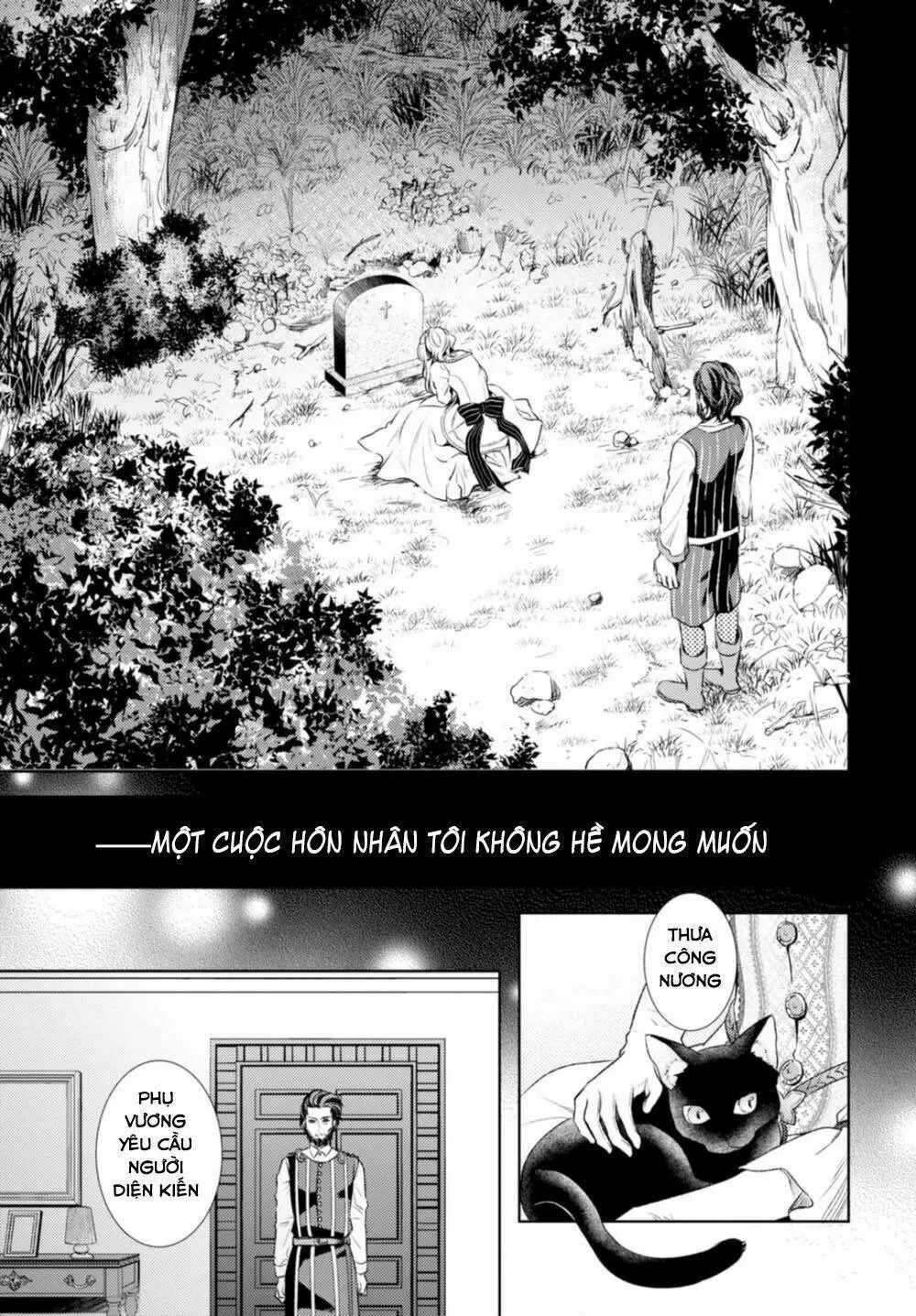 Chapter 12