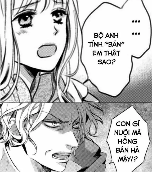 Chapter 12