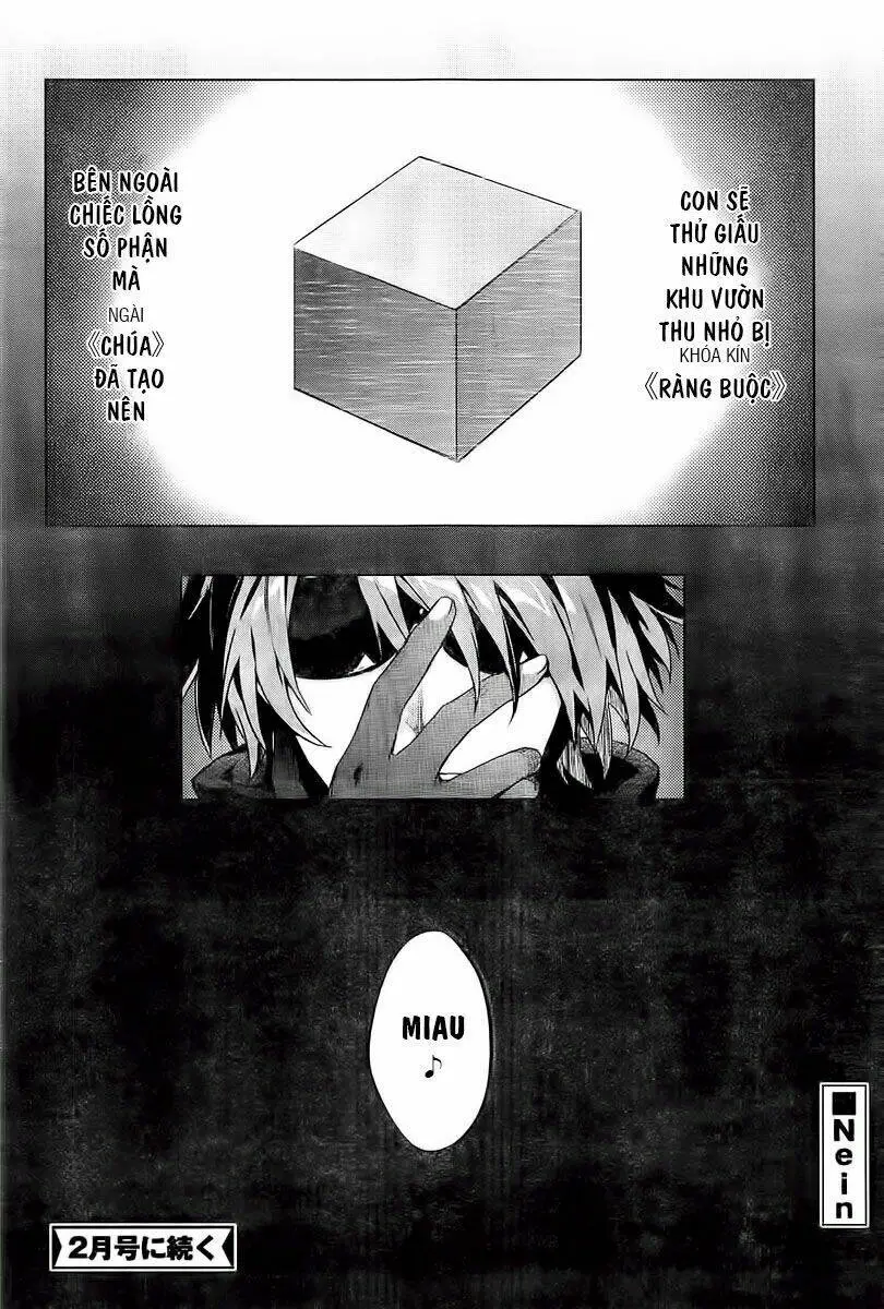 Chapter 1