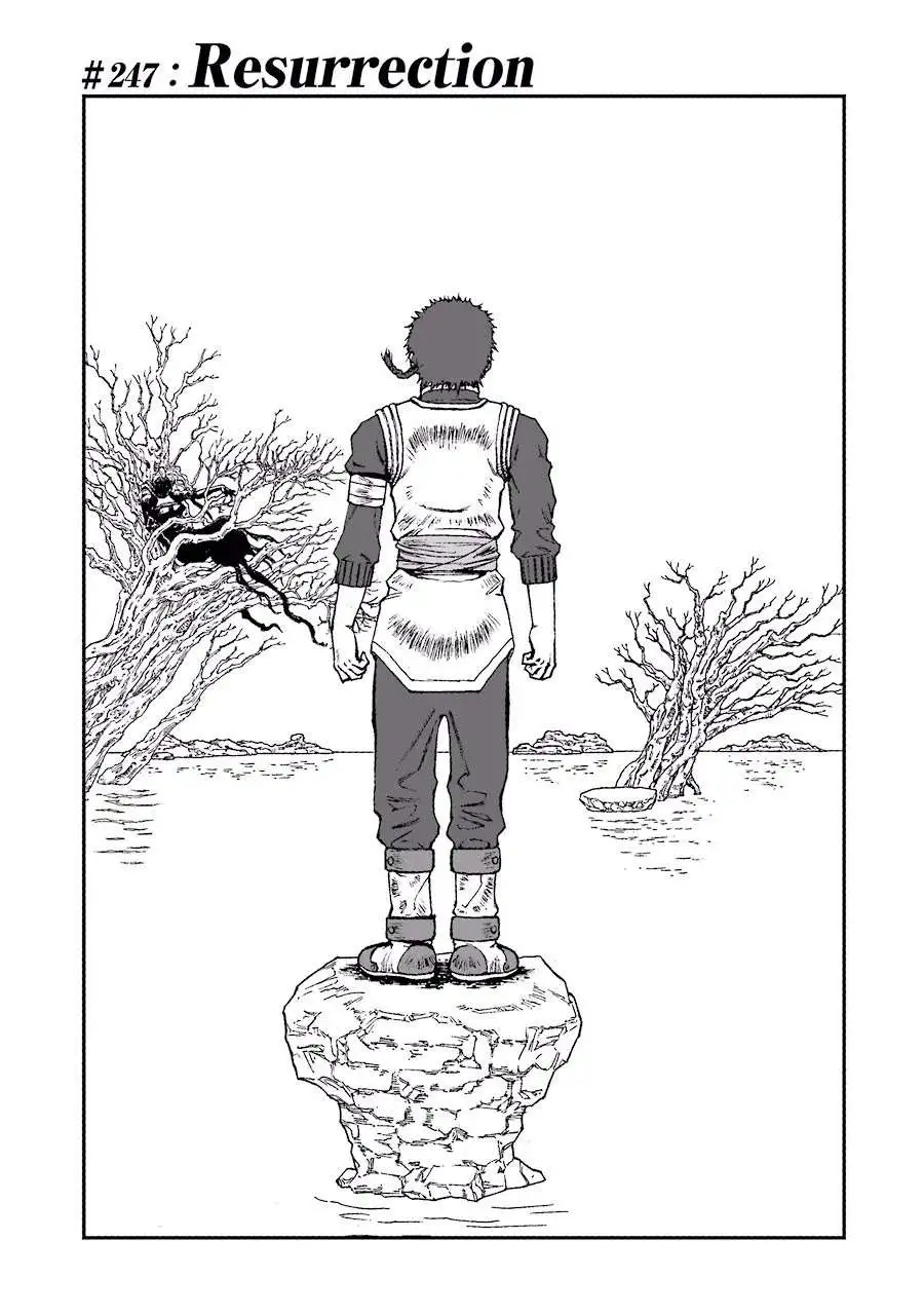 Chapter 247