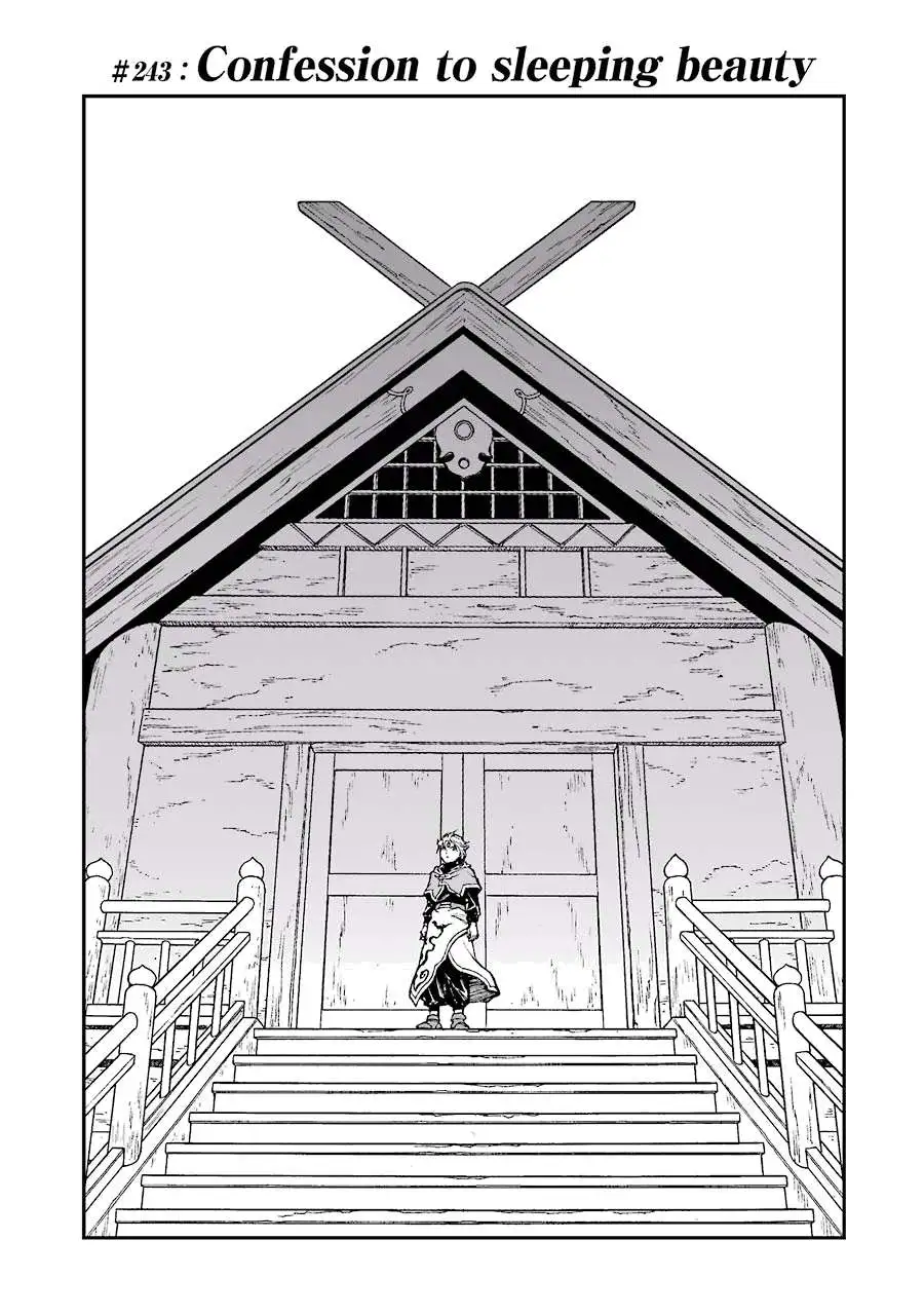 Chapter 243